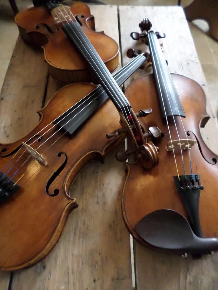 violons Trois Violons posé sur une table
